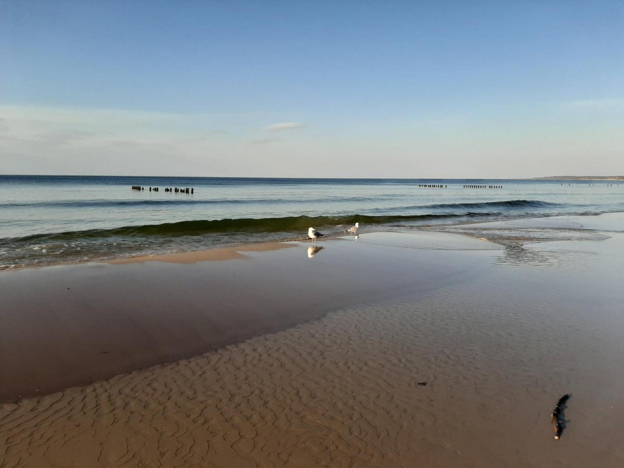 Czarcie Chatki Gardna Wielka Buitenkant foto